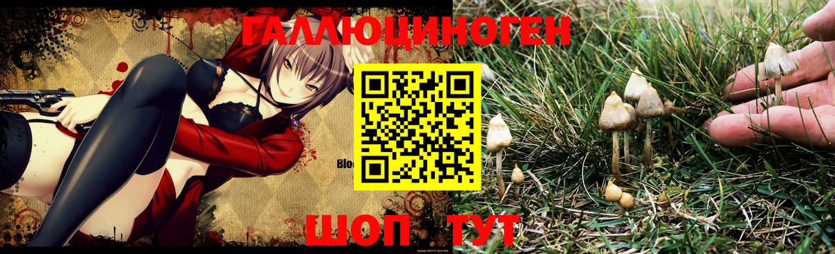 Псилоцибиновые грибы MAGIC MUSHROOMS  где купить наркотик  Галлюциногенные грибы мицелий  Северск  Вход с VPN 